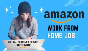 Work From Home Job in Amazon