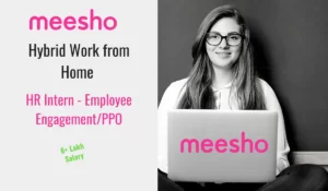Meesho Work from Home Job